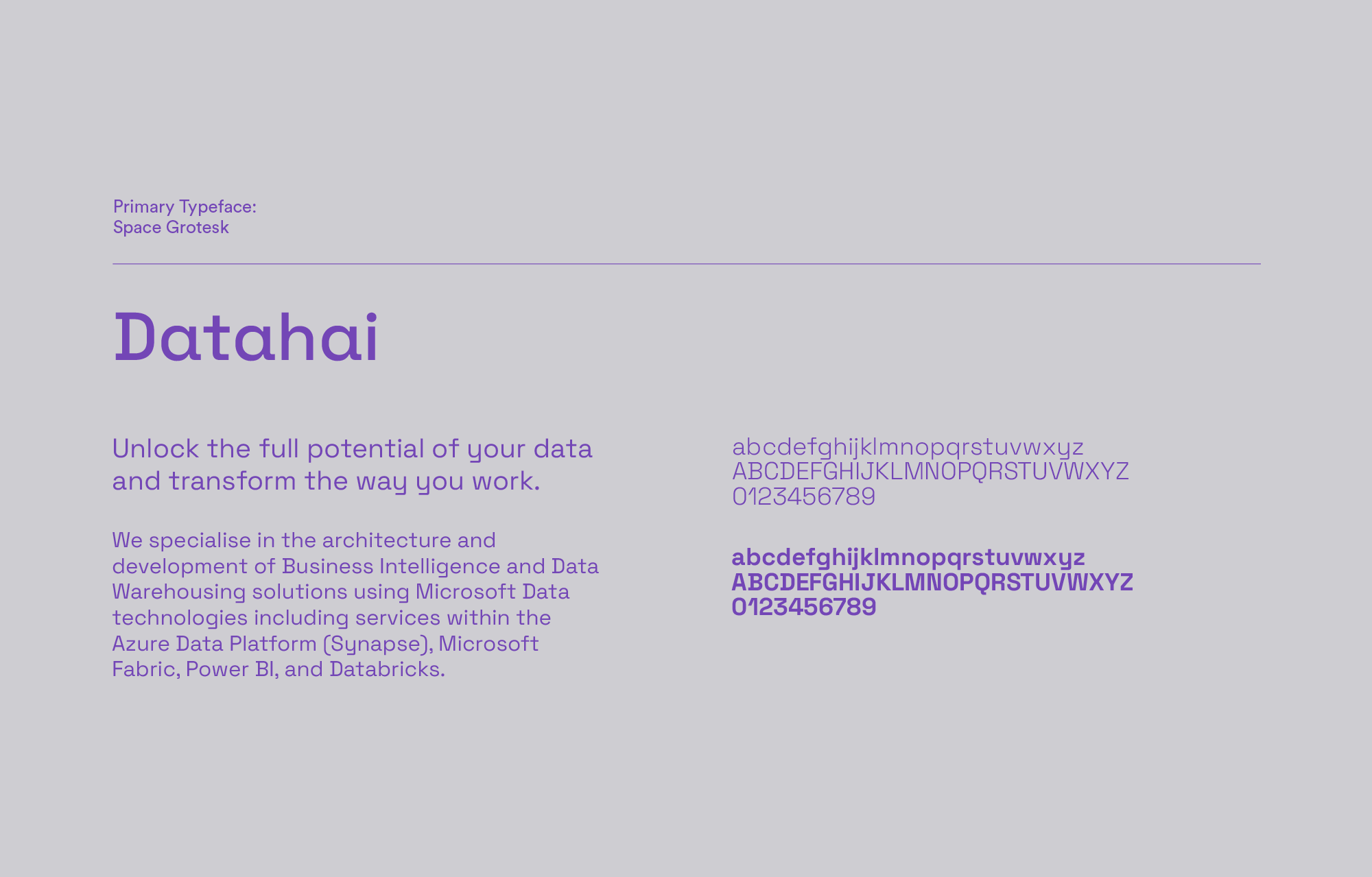 gareth-paul-jones-studio-visual-identity-datahai-refresh-case-study-02-New