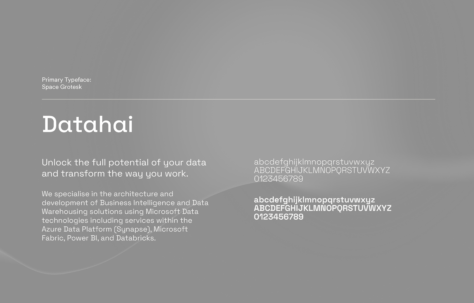 gareth-paul-jones-studio-visual-identity-datahai-refresh-case-study-02 gareth-paul-jones-studio-visual-identity-datahai-refresh-case-study-02